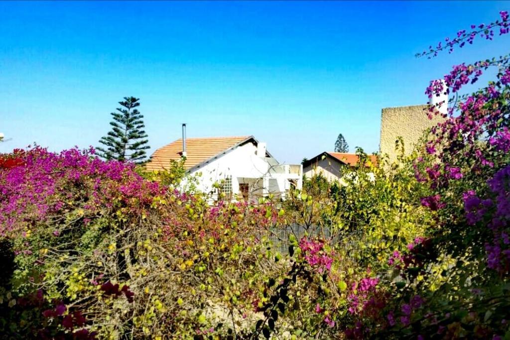 Lesanel - Guest House Арад Екстериор снимка